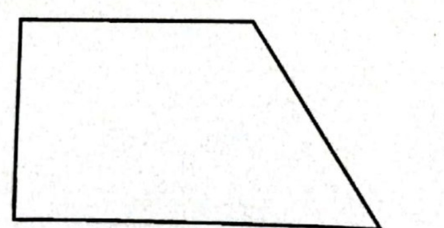 Image for option D