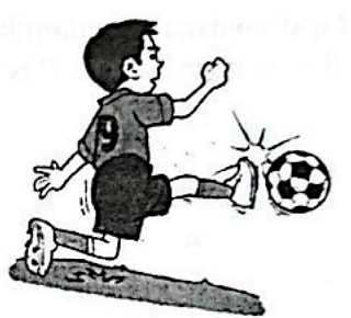 Image for option D