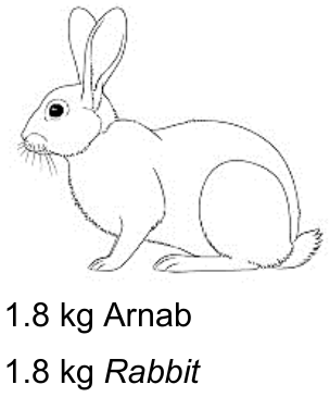 Imej pilihan A