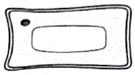 Image for option B