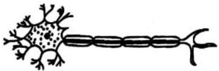 Image for option B