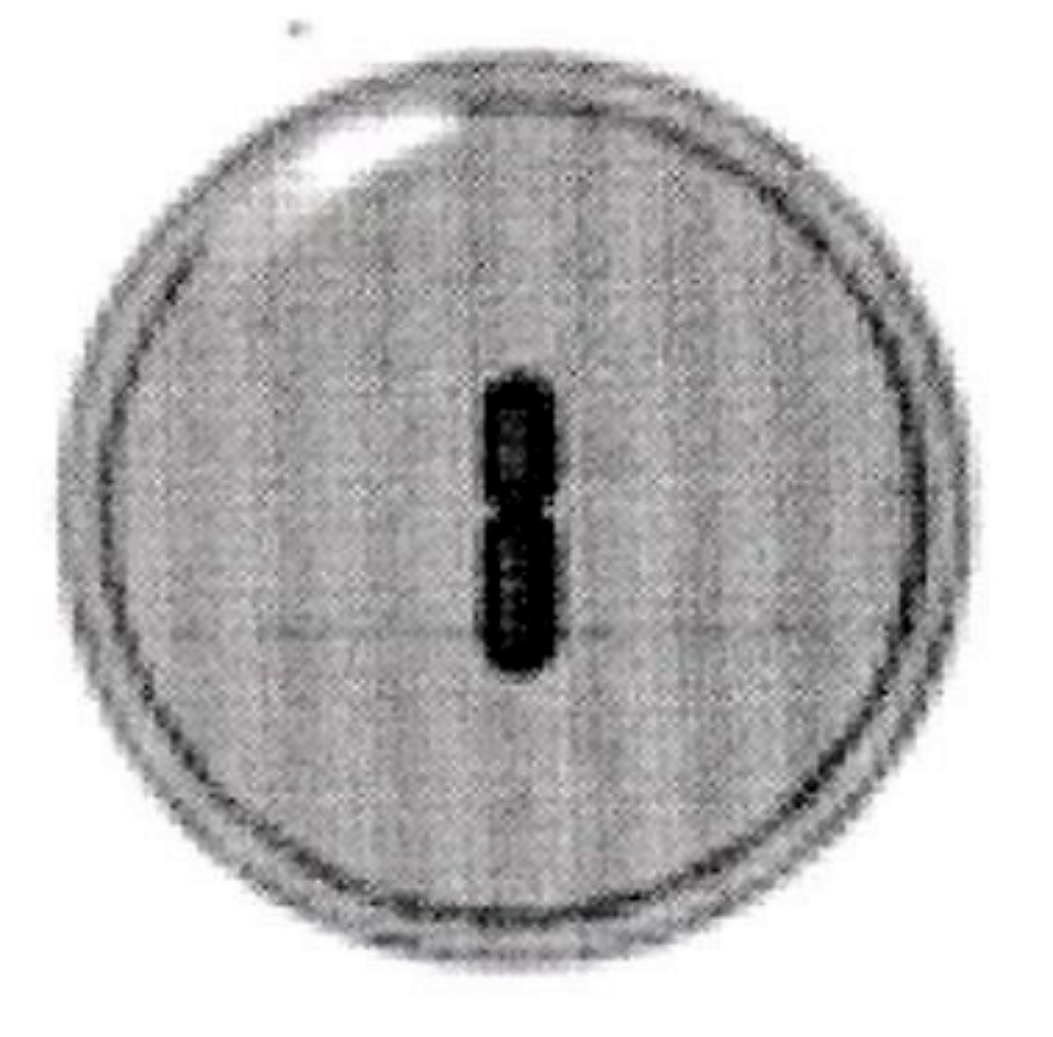 Image for option C