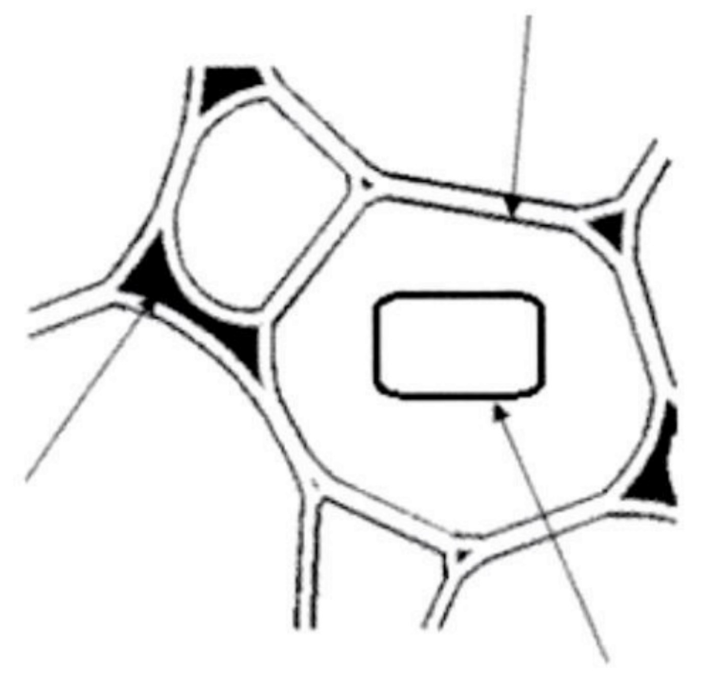 Image for option C