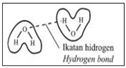 Image for option B