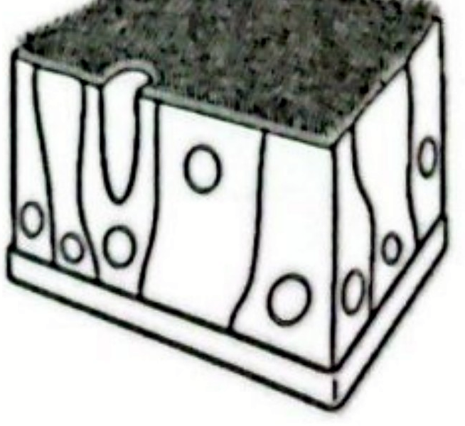 Image for option B