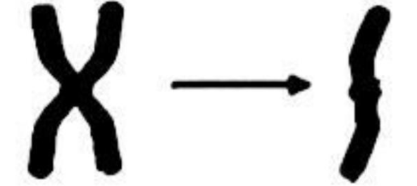 Image for option C