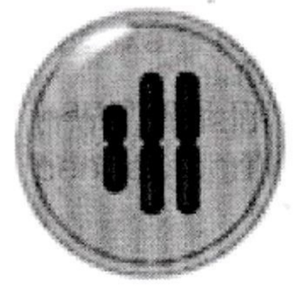Image for option A