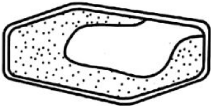 Image for option B