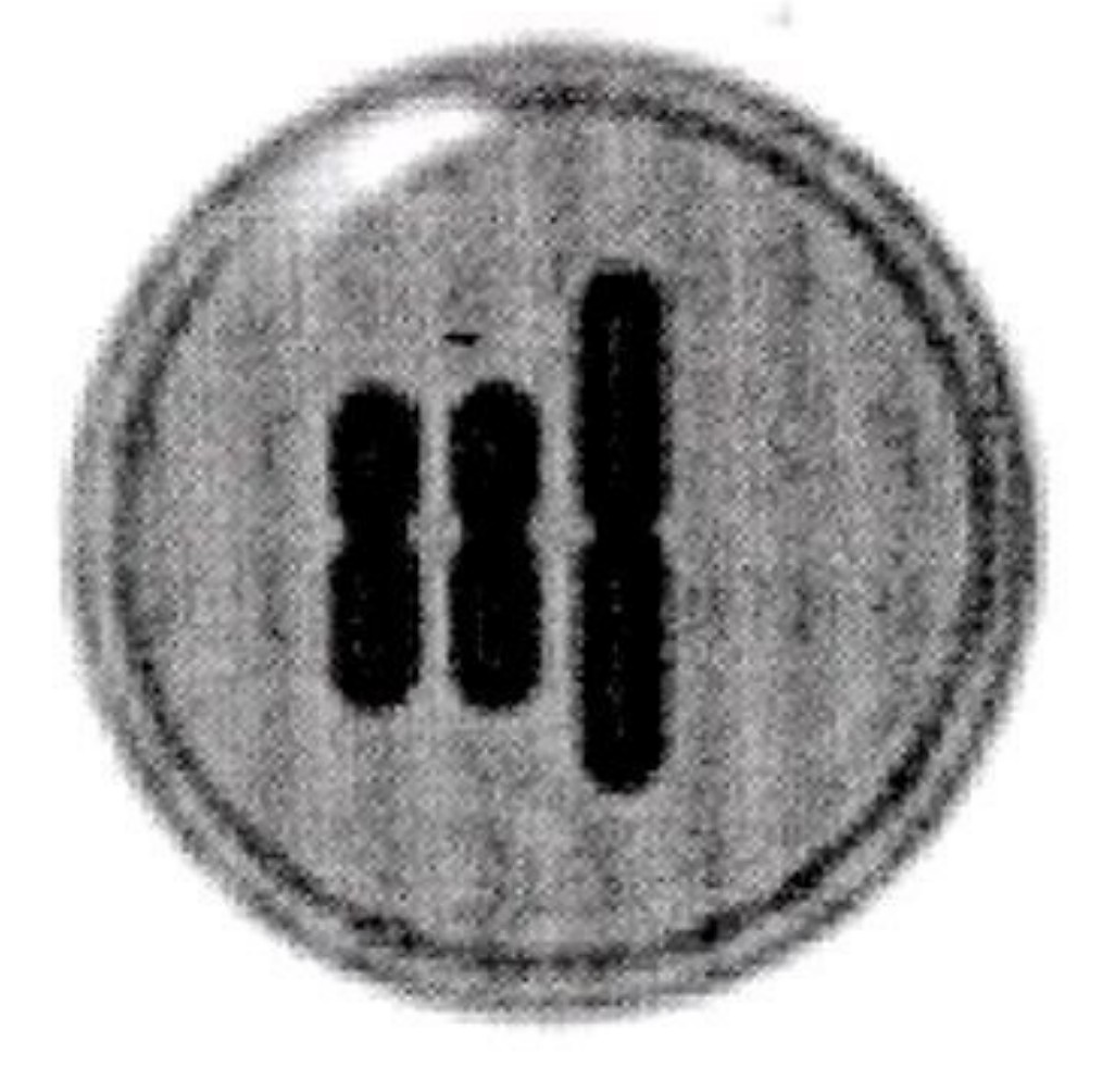 Image for option B