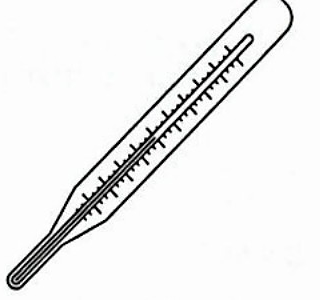 Image for option B