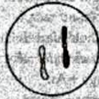 Image for option D