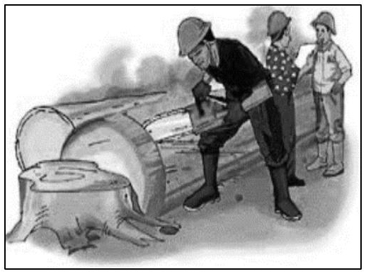 Image for option D
