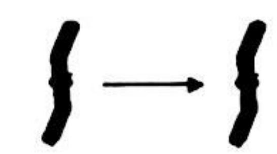 Image for option A