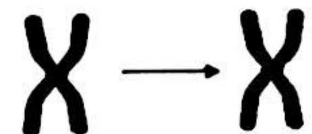Image for option D