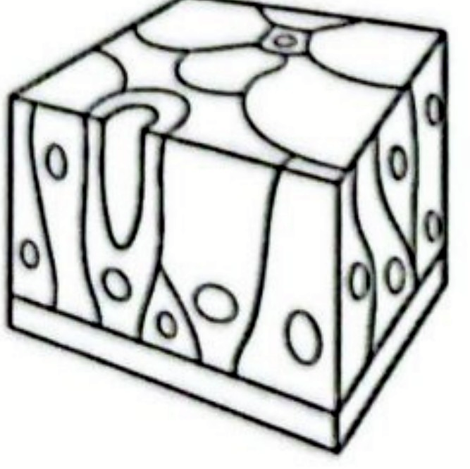 Image for option C